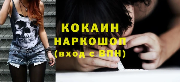 прущие грибы Сясьстрой