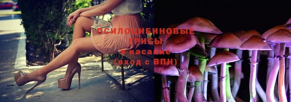 спайс Белокуриха
