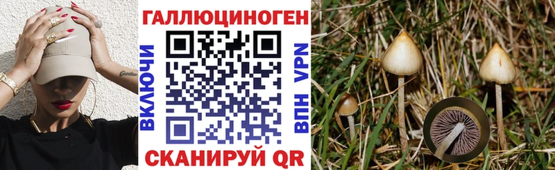 купить закладку  Енисейск  Псилоцибиновые грибы мицелий 